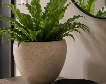 Sand Beige Ceramic Planter Pot: Mid-Century West German Studio Style