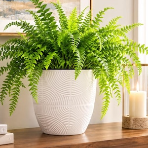 Portuguese Off-White Ceramic Cachepot | Embossed, Modern, Decorative Plant Pot