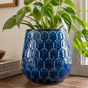 May include: A deep blue ceramic planter with a raised hexagonal honeycomb pattern containing a lush green heart-leaf philodendron plant. The planter has a glossy finish with darker blue shading within the recessed areas of the geometric design.