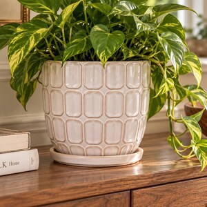 Cream Ceramic Planter with Raised Geometric Pattern and Matching Saucer with Drainage Hole