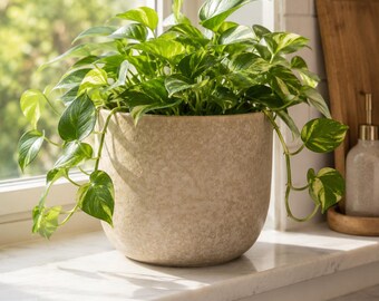 Portuguese Ceramic Planter Pot 7x6 | Neutral Beige Stoneware Cachepot | Modern Indoor Plant Pot