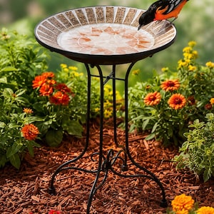 Puede incluir: Un baño para pájaros con un cuenco circular que presenta un patrón de mosaico de azulejos color canela, blanco y naranja, sostenido por un soporte de metal negro con cuatro patas curvas. Un pájaro naranja y negro bebe del borde.