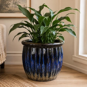 May include: A large, round ceramic planter with a deep blue and black glazed finish featuring vertical ribbed textures and a light tan base. The planter holds a lush green peace lily plant with long, pointed leaves extending upwards.