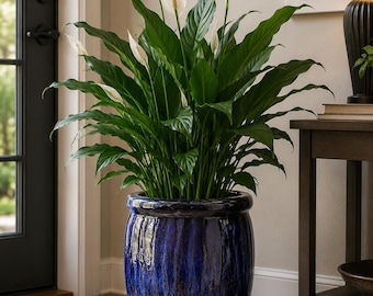Blue Reactive Glaze Ceramic Planter Pot with Drainage Hole | Indoor, Outdoor Planter
