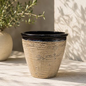 May include: A beige ceramic planter with a textured, ridged surface. The rim is black with a dark blue band. The planter is cylindrical with a slightly flared top. A second, off-white ceramic pot is visible in the background.