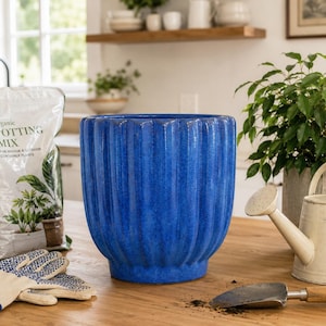 May include: A vibrant blue ceramic planter with a vertical ribbed texture and a wide, rounded opening. The planter sits on a wooden surface alongside a bag of organic potting mix, a pair of beige gardening gloves, a metal watering can, and a trowel.