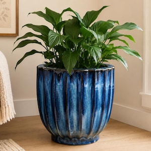 May include: A large, deep blue ceramic planter with a vertical ribbed texture and a glossy finish. The planter features a rounded, bulbous shape that tapers toward a circular base and contains a lush green peace lily plant with broad leaves.