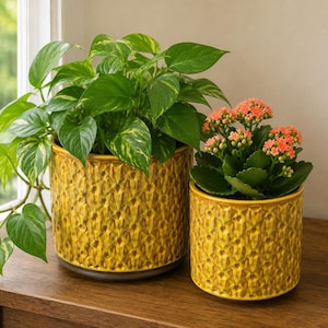 Set of 2 Amber Textured Ceramic Planter — Mid-Century Geometric Pot, Retro Indoor Plant Pot
