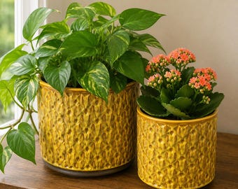 Set of 2 Amber Textured Ceramic Planter — Mid-Century Geometric Pot, Retro Indoor Plant Pot