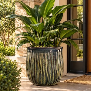 May include: A large, vibrant green peace lily plant with broad, glossy leaves potted in a round, ceramic planter. The planter features a deep blue and olive green reactive glaze with a vertical, rippled, and textured surface design.