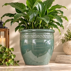Può includere: Un grande vaso in ceramica color verde acqua lucido, con corpo arrotondato e una fascia decorativa in rilievo con un motivo circolare ripetuto sul bordo superiore. Il vaso contiene una rigogliosa pianta verde dalle foglie larghe e appuntite.
