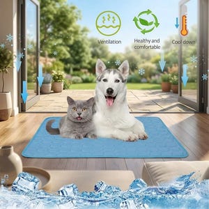 Può includere: Un tappetino rinfrescante blu con un motivo a nido d'ape. Un gatto grigio e un cane husky sono sdraiati sul tappetino. L'immagine include icone per la ventilazione, il comfort e il raffreddamento. Lo sfondo mostra un giardino e porte aperte.