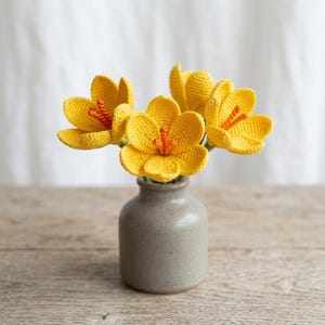 Patrón sencillo de crocus de ganchillo 3D en PDF