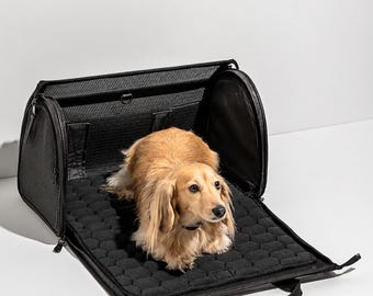 Luxus Leder Haustier Tragetasche für Kleine Hunde Katzen | Faltbare Reisetasche (von Fluggesellschaft zugelassen)