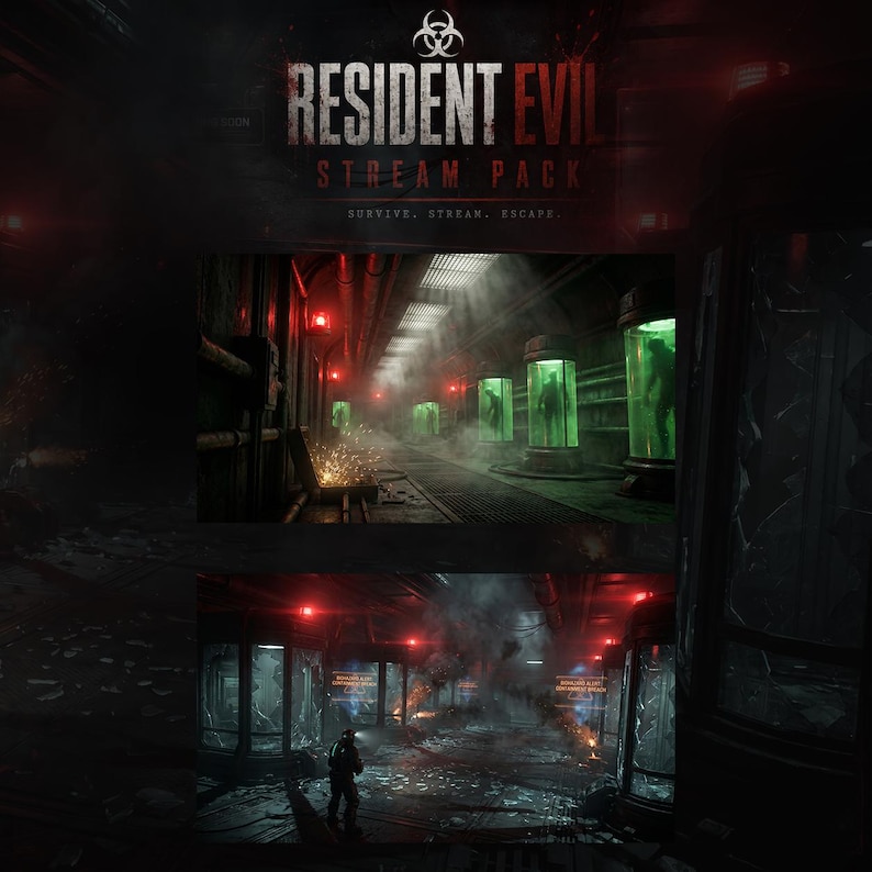Evil Package Resident Evil Stream Overlay Package | Twitch Overlay Biohazard ...