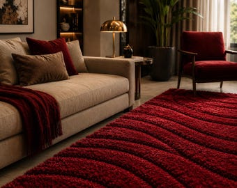 Modern Red Shaggy Rug, Plush Floor Carpet, Luxury Home Accent Decor
