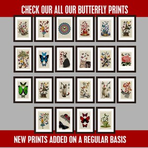 May include: A collection of 24 framed butterfly prints featuring various designs, including butterflies on a teacup, a cat, a shoe, and a book. The prints are displayed on a gray wall with the text "CHECK OUR ALL OUR BUTTERFLY PRINTS" at the top and "NEW PRINTS ADDED ON A REGULAR BASIS" at the bottom.