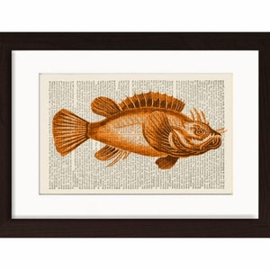 Scorpion Fish 2 Antique engraving ( 1800&#39;s ) Print on Vintage Repurposed Page