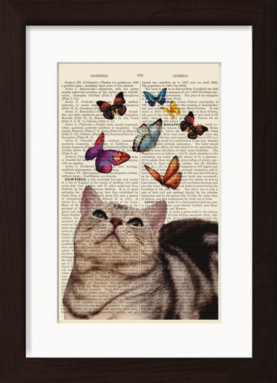 Cat Print Tortoiseshell Cat Looking At Colored Butterflies Etsy