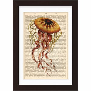 Peut inclure: Une illustration vintage d'une méduse avec une cloche jaune et orange et des tentacules roses. L'illustration est imprimée sur une page d'un vieux livre.
