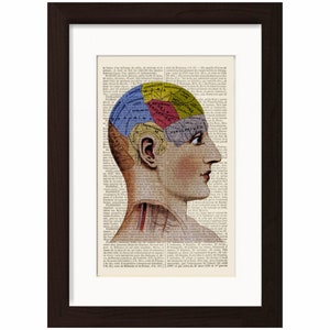 Antique Phrenology Head Anatomical Colour Print on upcycled Vintage Dictionary   Mixed Media Digital Page home and living