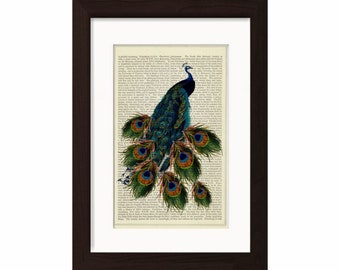 Peacock and feathers print on vintage upcycled page