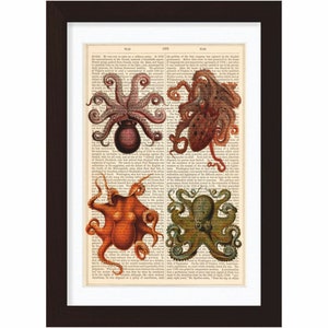 Composite of 4 Octopuses   cephalopod  Print on vintage up cycled Dictionary Page mixed media  digital