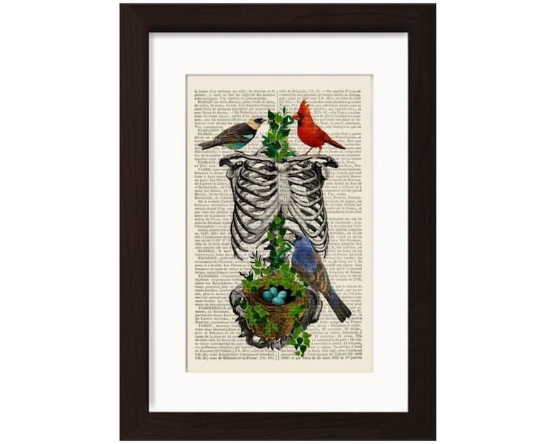 Anatomical Print Rib Cage With Birds Nesting With Eggs Print Etsy
