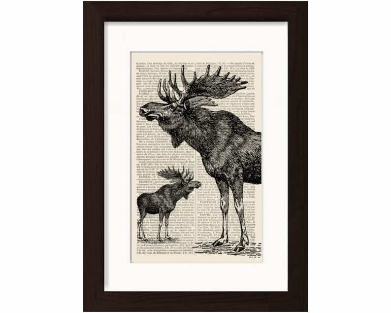 Two Moose Print on vintage French English Dictionary Page image 1