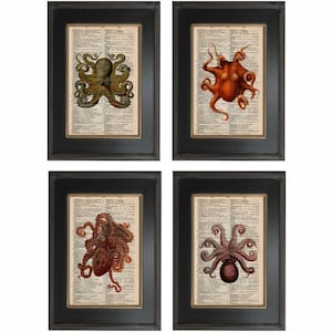Set of 4   5 x7 inch Octopus cephalopod   mixed media Prints on vintage up cycled French English Dictionary Pages