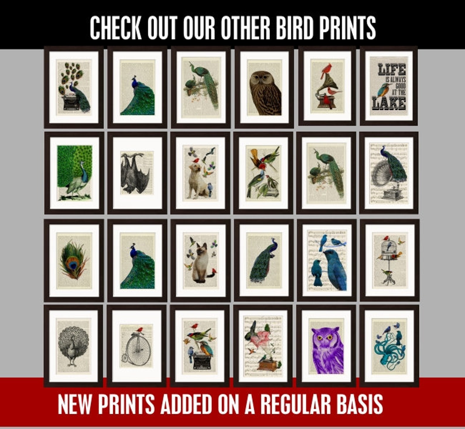 Peacock With Typewriter Print on Vintage Upcycled French Etsy