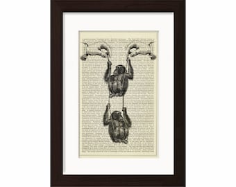 Monkey Print - Swinging Chimpanzees with hands Engraving Print on vintage upcycled page