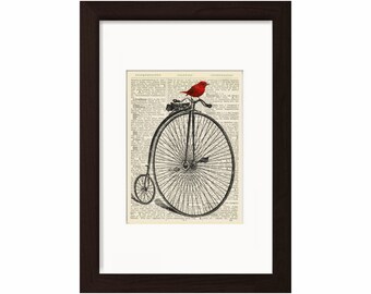 Penny Farthing Fahrrad mit bunten roten Vogel Druck auf Upcycled 1896 Lateinische nisch Englisch Wörterbuch Seite Mischtechnik digital