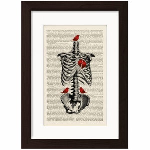 Anatomical Print - Rib Cage with Red Bird Heart mixed media Print on vintage upcycled 1880 French Dictionary Page