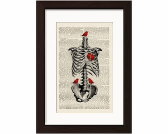 Anatomical Print - Rib Cage with Red Bird Heart mixed media Print on vintage upcycled 1880 French Dictionary Page