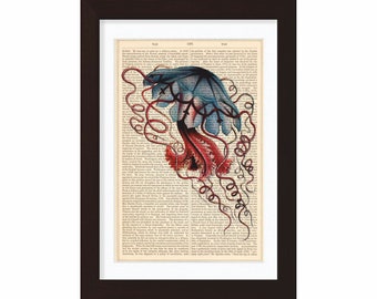 Jellyfish Blue Illustration 2  by Ernst Haeckel  mixed media  Print on  1870's encyclopaedia Page