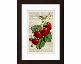 Fruit Print Strawberry  Print on Upcycled  1880's French Dictionary Page mixed media digital home and living