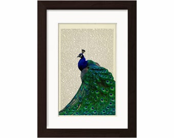 Peacock Corner print on vintage  upcycled book page  mixed media digital