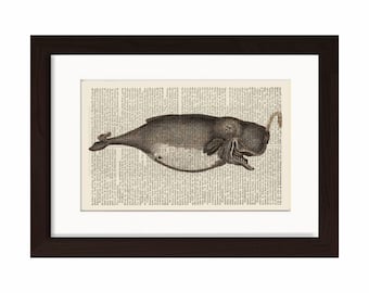Whale Print 3  - Very Old Whale Antique engraving Print on  Repurposed 1880's Dictionary Page mixed media  digital wall art home and living