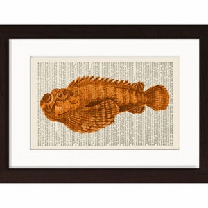 Scorpion Fish Antique engraving Print on Vintage 1870&#39;s Repurposed Page