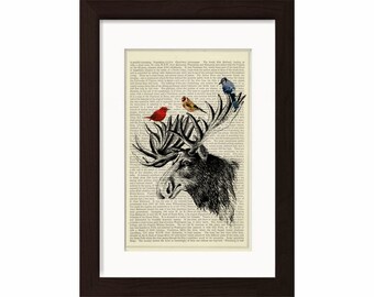Moose head with colourful Birds Mixed Media Print on vintage upcycled page