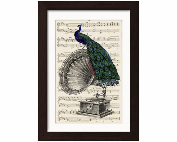 Peacock Print Engraving Of Vintage Gramophone With Perched Etsy