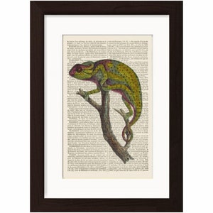 Colourful Antique Chameleon engraving Print on upcycled Vintage Page