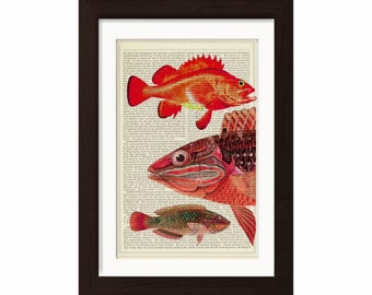 Red Fish print on vintage (1860's) upcycled book page mixed media digital