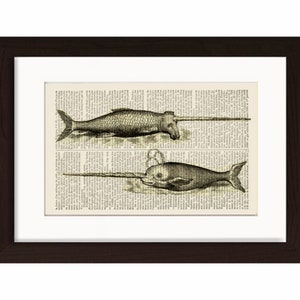 Narwhal Whale Print 4 - Very Old engraving Print on  Repurposed 1870&#39;s Dictionary Page mixed media  digital wall art home and living