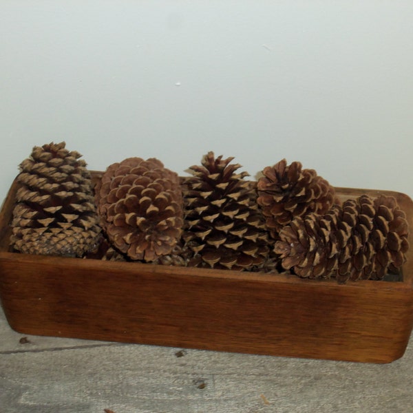 Pine cones, Pinecones, Pine cone,  Pinecone Supply's, Pinecones For Crafts, Wreath Pinecones, Pine Cone Decor, Rustic Decor