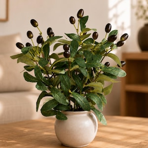 May include: A decorative plant featuring dark brown oval-shaped olives and elongated green leaves. The plant is housed in a small, round, off-white ceramic pot with a smooth finish and a short, narrow neck, creating a balanced botanical display.