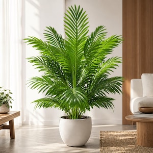 May include: A large, vibrant green palm plant in a white, rounded pot. The plant has many long, feathery fronds, creating a full, lush appearance. The pot sits on a light-colored floor in a well-lit room, suggesting an indoor setting.