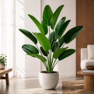 Peut inclure: Une grande plante artificielle verte aux larges feuilles, dans un pot en céramique blanc arrondi. La plante est placée dans un salon bien éclairé, avec une table en bois et un canapé en arrière-plan. Le pot mesure environ 50 cm de diamètre.
