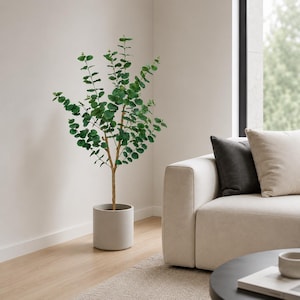 Op de afbeelding: Een kunstmatige eucalyptusplant in een lichtgrijze cilindrische pot. De plant heeft meerdere takken met groene, afgeronde bladeren. De pot staat op een lichtgekleurde houten vloer naast een beige bank en een donkergrijs kussen.